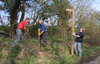 Waypost planting